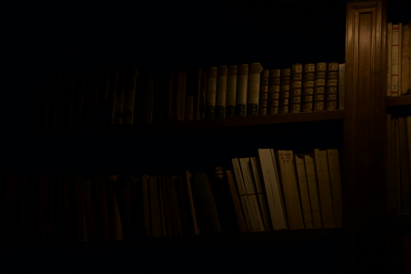 Old books with golden spines line a wooden bookshelf.